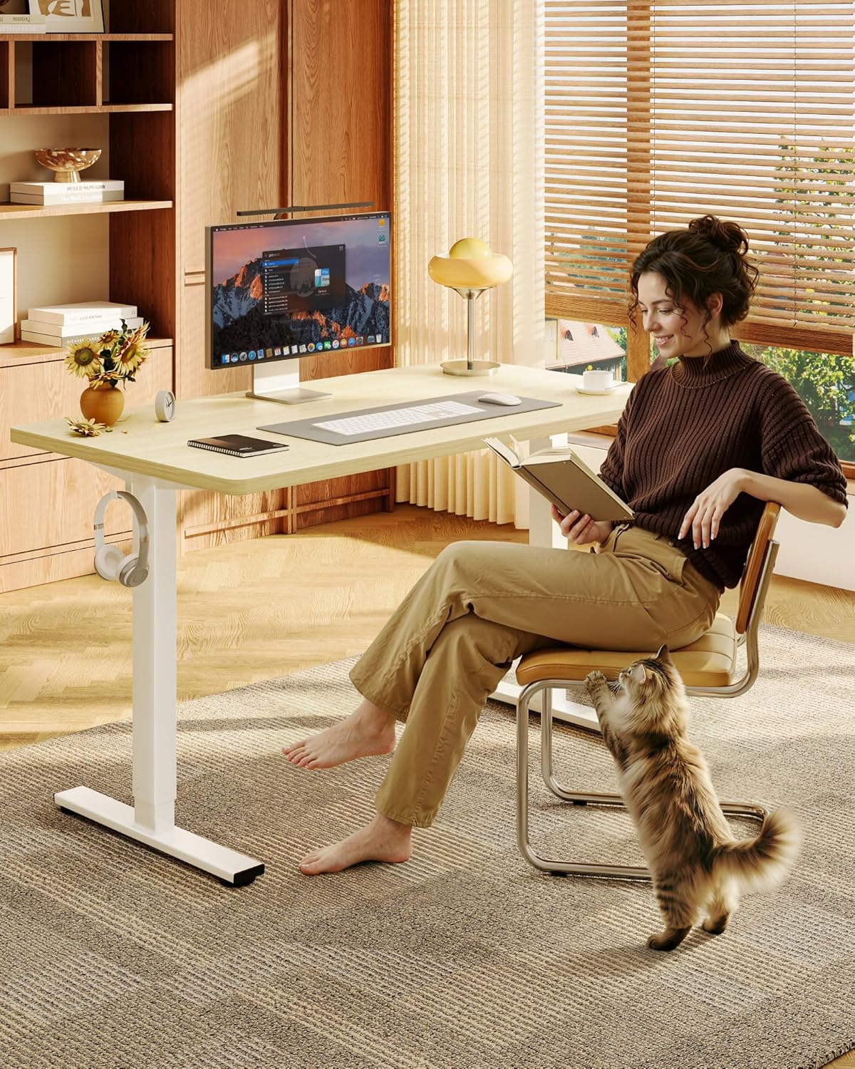 Electric Height Adjustable Sta - Setup Desk Monitor avaliação e preço